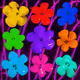 Flowers Flowers Flowers #1218