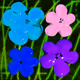 Flowers Flowers Flowers #792