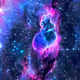 The Omniverse Catalog The Sea of Lonely Windows