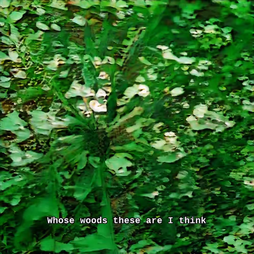 By the Woods