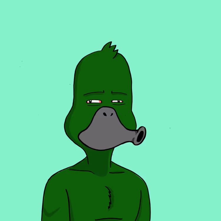 Duck #8346