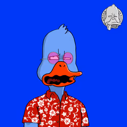 Duck #6414