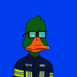 Duck #4237