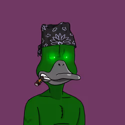 Duck #6549