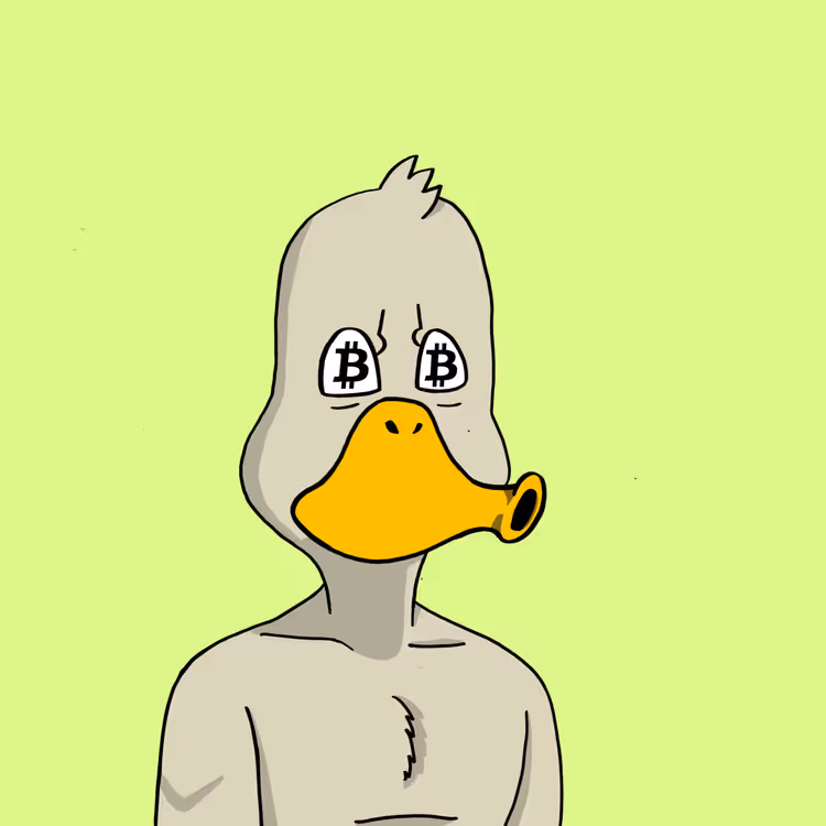 Duck #7986