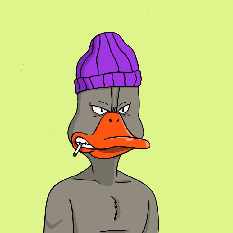 Duck #8713
