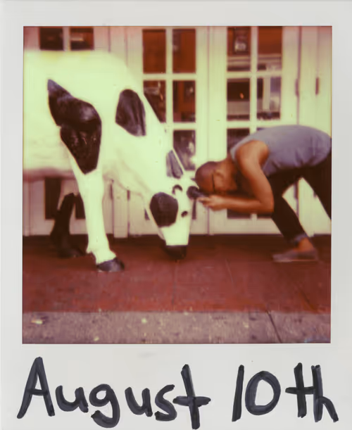 Item #1020847100762815390390123822295304634498 Media