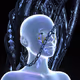 FVCK_AVATAR// #2480