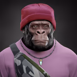 Supreme Kong #906