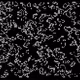 591