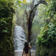 Island of the Gods