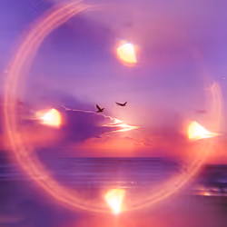11