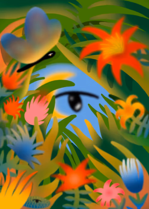 Item #29300240007 Media