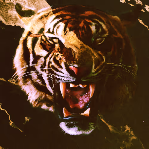 Rawr - CnlJZb4w4R