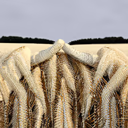 Infinite Images ∞ 657