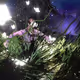 Two Realities V2