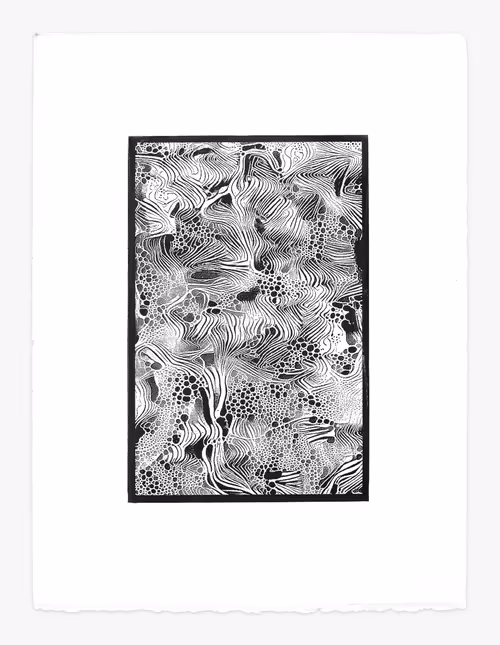 Item #102980193 Media