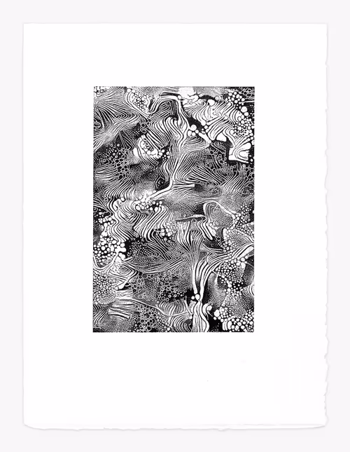 Item #2110675559 Media