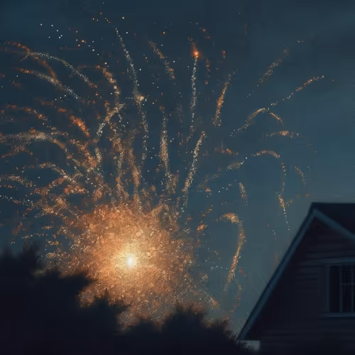 THE NOISE OF MEMORIES