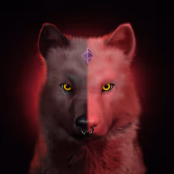 Wolf #1035