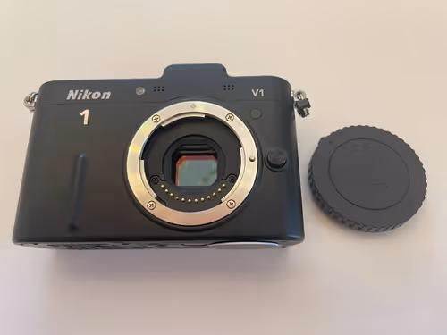 Item #13 Media