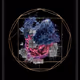 NOR Third Aspect of The Nine_422