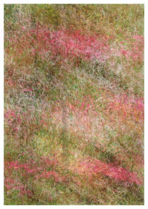 Item #1275411111 Media