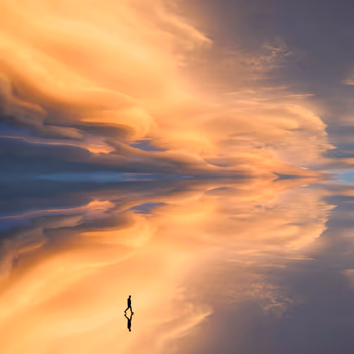 MirroredCollab