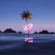 Tropical Delusion V2