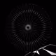 MORPHIC ANNEXES