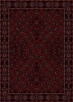 Carpetdiem #0355