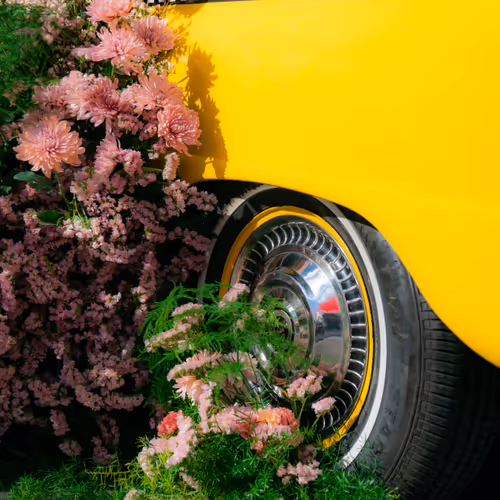 Vintage Bloom