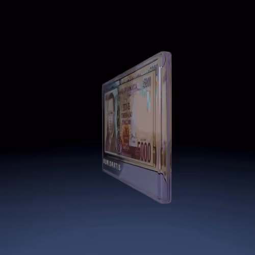 Item #211 Media