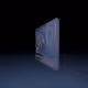 481
