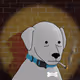 Gray Doge