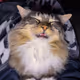 95