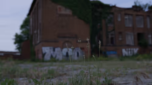 Item #6529635677191894517676568726057256064347885544341011788732837084432238116871 Media