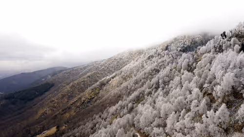 Item #14716092156585287365480307115940890711700220374110327636832692002678548463646 Media