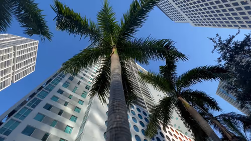 Item #14716092156585287365480307115940890711700220374110327636832692002678548463629 Media