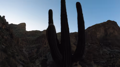 Item #14716092156585287365480307115940890711700220374110327636832692002678548463662 Media