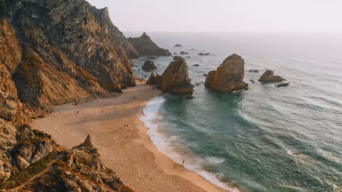 Item #14716092156585287365480307115940890711700220374110327636832692002678548463631 Media