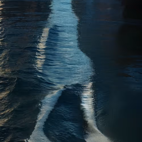 DREAMY RIPPLES OF AI