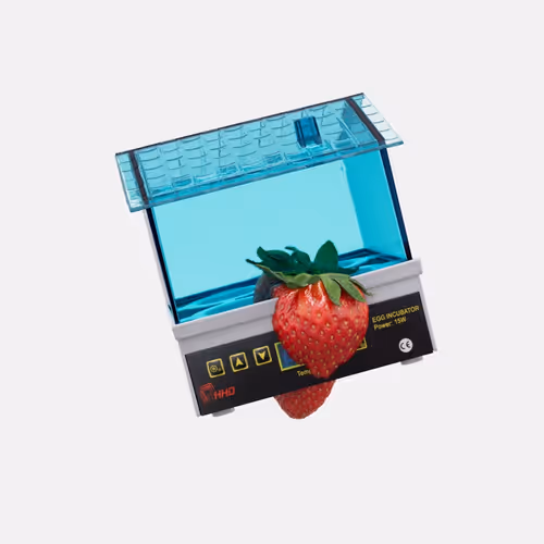 Item #66730 Media