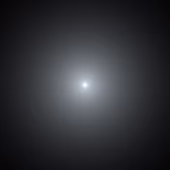 363