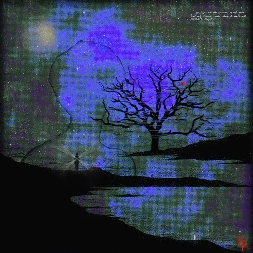 From Root to Sky