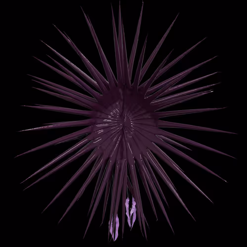 1885815601791455
