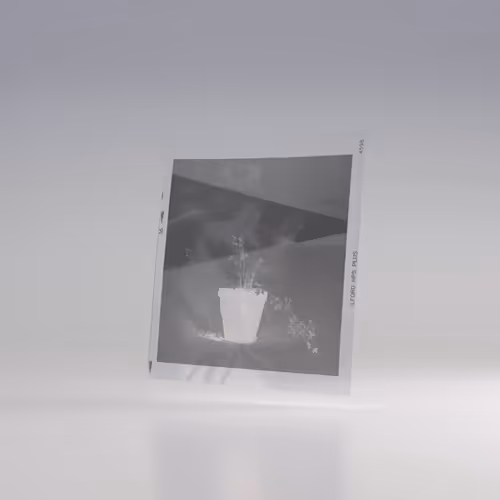 Item #5 Media