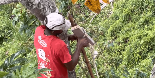 Item #51582083121382664754572266337257696728237193355148908677881965574864855105604 Media