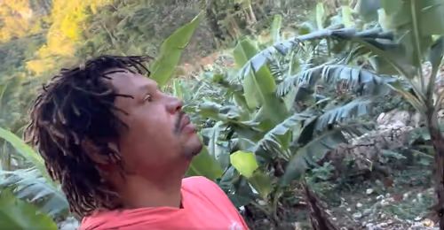 Item #51582083121382664754572266337257696728237193355148908677881965574864855105603 Media