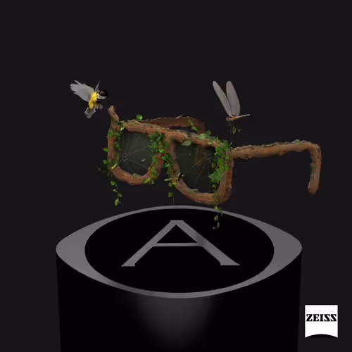 Item #5 Media